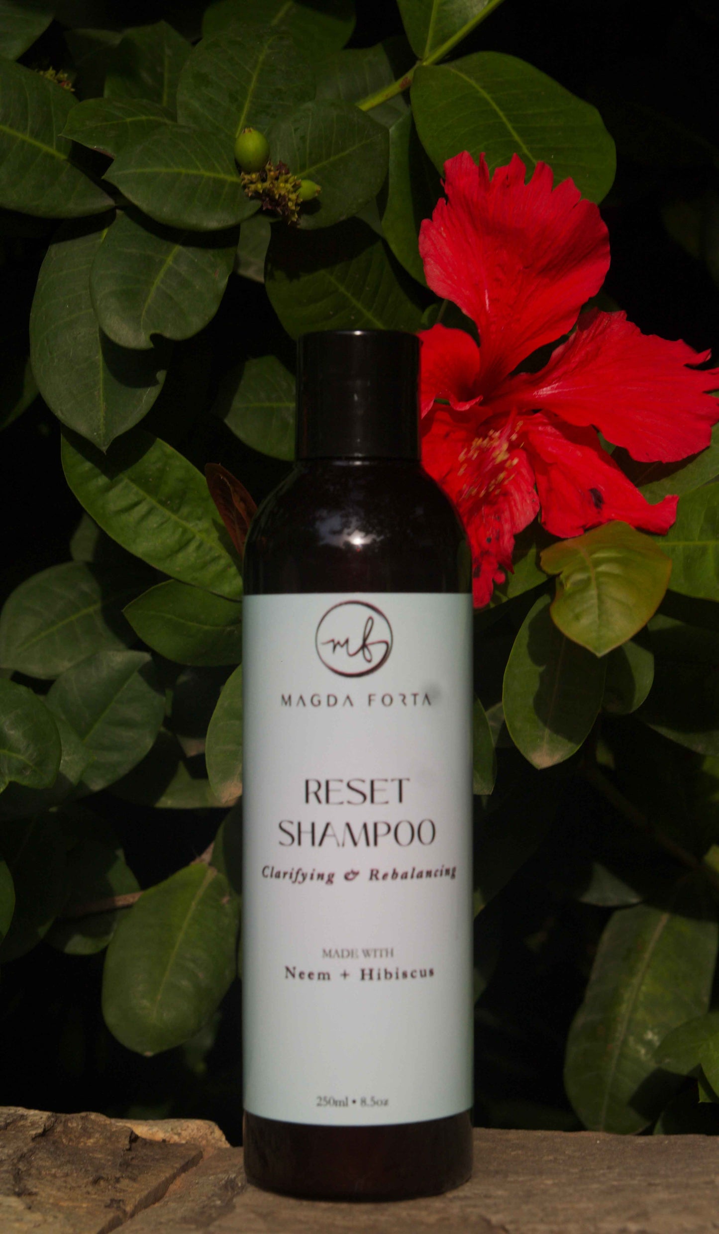 Reset Shampoo - Magda Forta